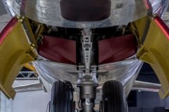 AFM-CMS (34)