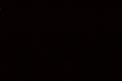 100_5958