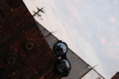 DSC_2521